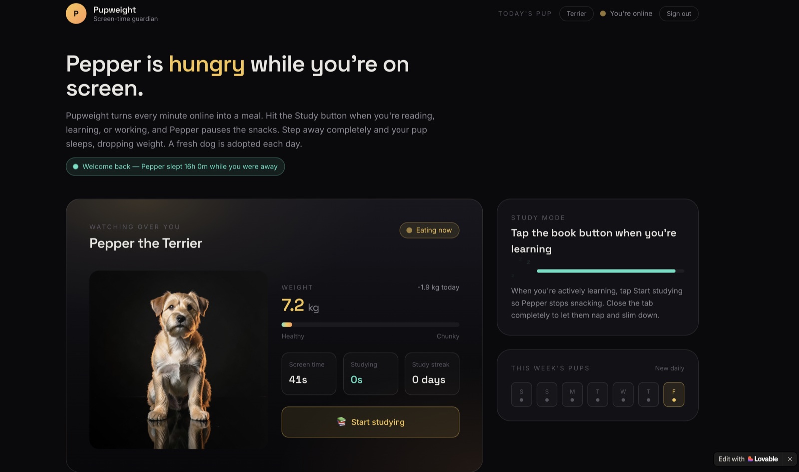 Screenshot of Puppy Screen, built by Vaughn, 11